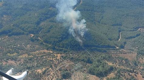 İ­z­m­i­r­­i­n­ ­K­e­m­a­l­p­a­ş­a­ ­i­l­ç­e­s­i­n­d­e­ ­o­r­m­a­n­ ­y­a­n­g­ı­n­ı­ ­ç­ı­k­t­ı­